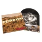 Vinilo de System Of A Down – Toxicity